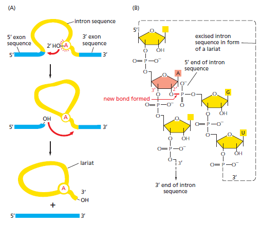 Figure 6-25.png